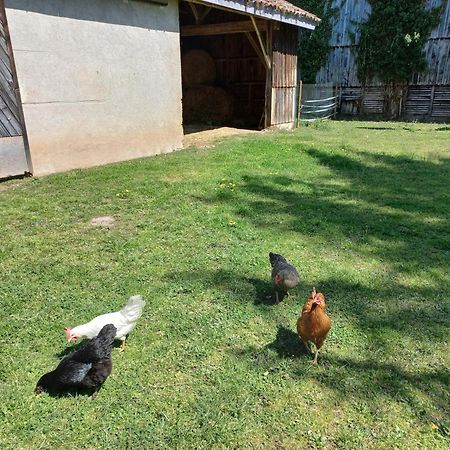 L' Embellie Sur Lot Bed and Breakfast Sainte-Livrade-sur-Lot Exteriör bild